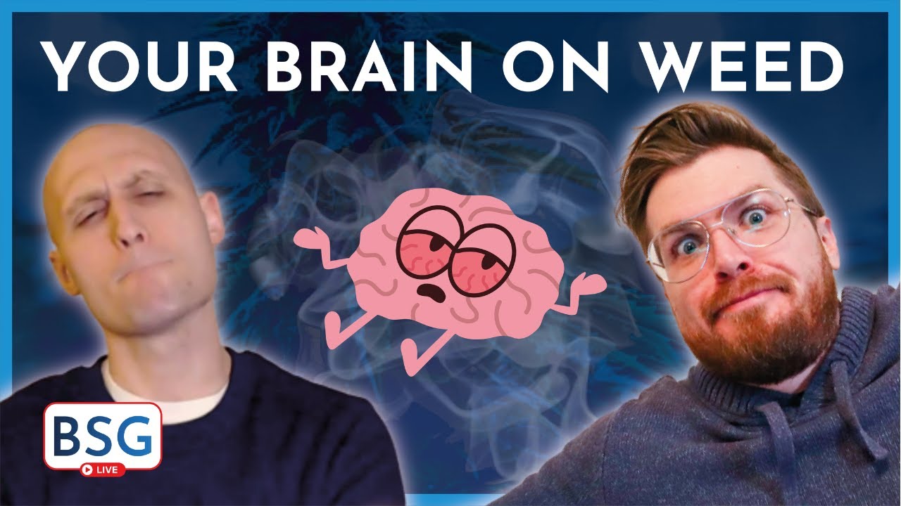 &ldquo;Weed, Seizures, and the Brain&rdquo; | BSG Live December 15, 2022