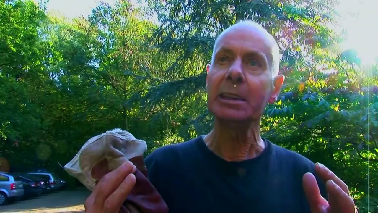 A TRIBUTE TO MAX IMDAHL: PETER SCHMIDT - G&auml;rtner der Kunst