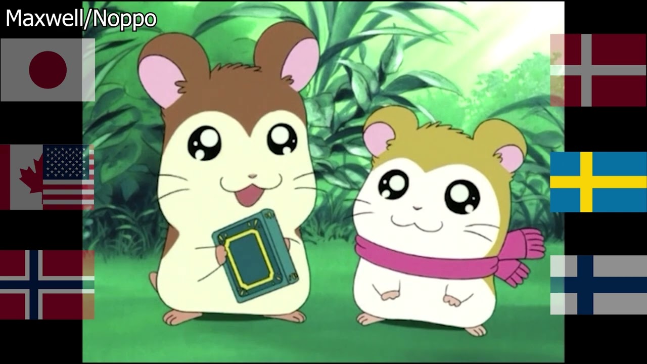 Hamtaro English & Scandinavian Dubs Comparison