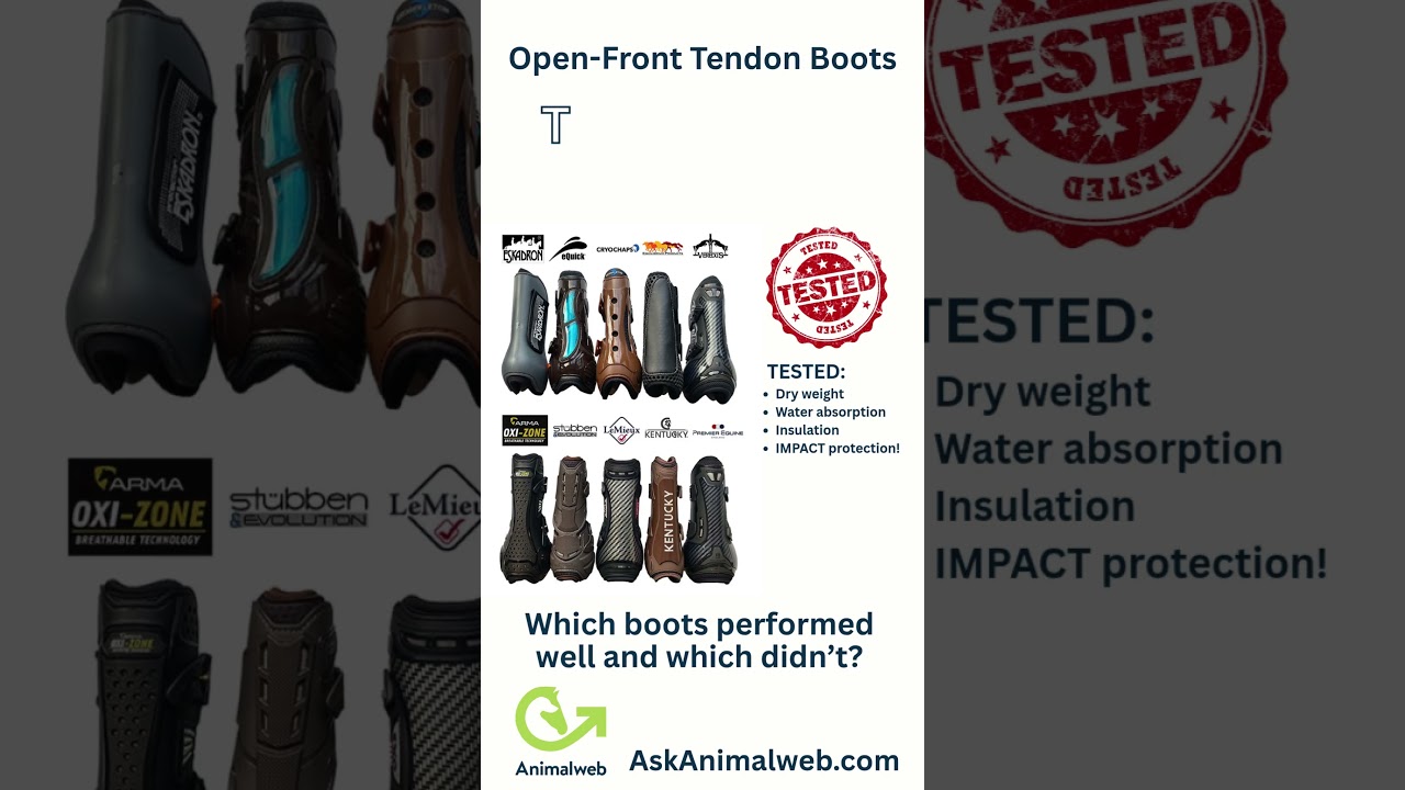 🔥 BOOT BATTLE: We Impact-Tested 10 Tendon Boots!