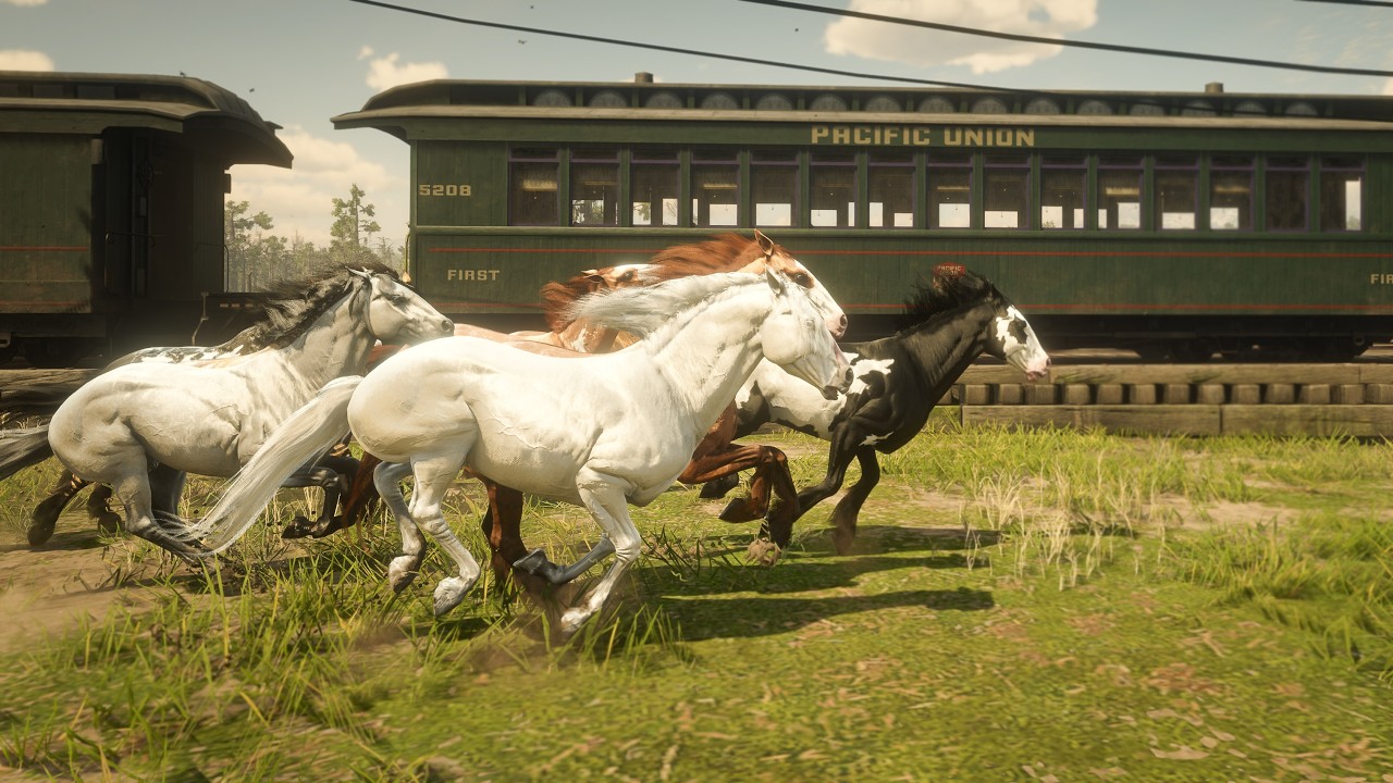 Табун МУСТАНГОВ бежит за поездом от Сен-Денис до Сен-Денис в RDR 2