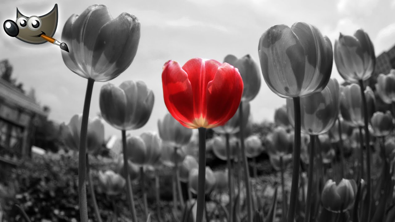 Colorkey Effekt | Gimp Tutorial Deutsch