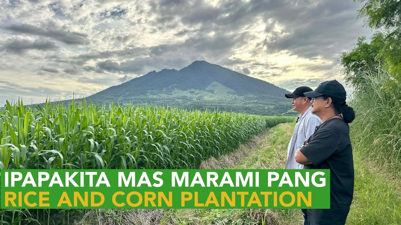 Pinakamagaling na Farmer ng Pinas - Ipapakita ang Mas Malaki pang Rice and Corn Plantation!