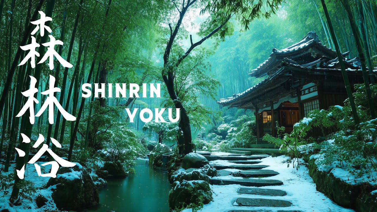 SHINRIN-YOKU ~ 森林浴 📼 Japanese Lofi Hiphop - Nostalgic Chill Vibes ☯ Aozora 青空 Theme Vol. 03