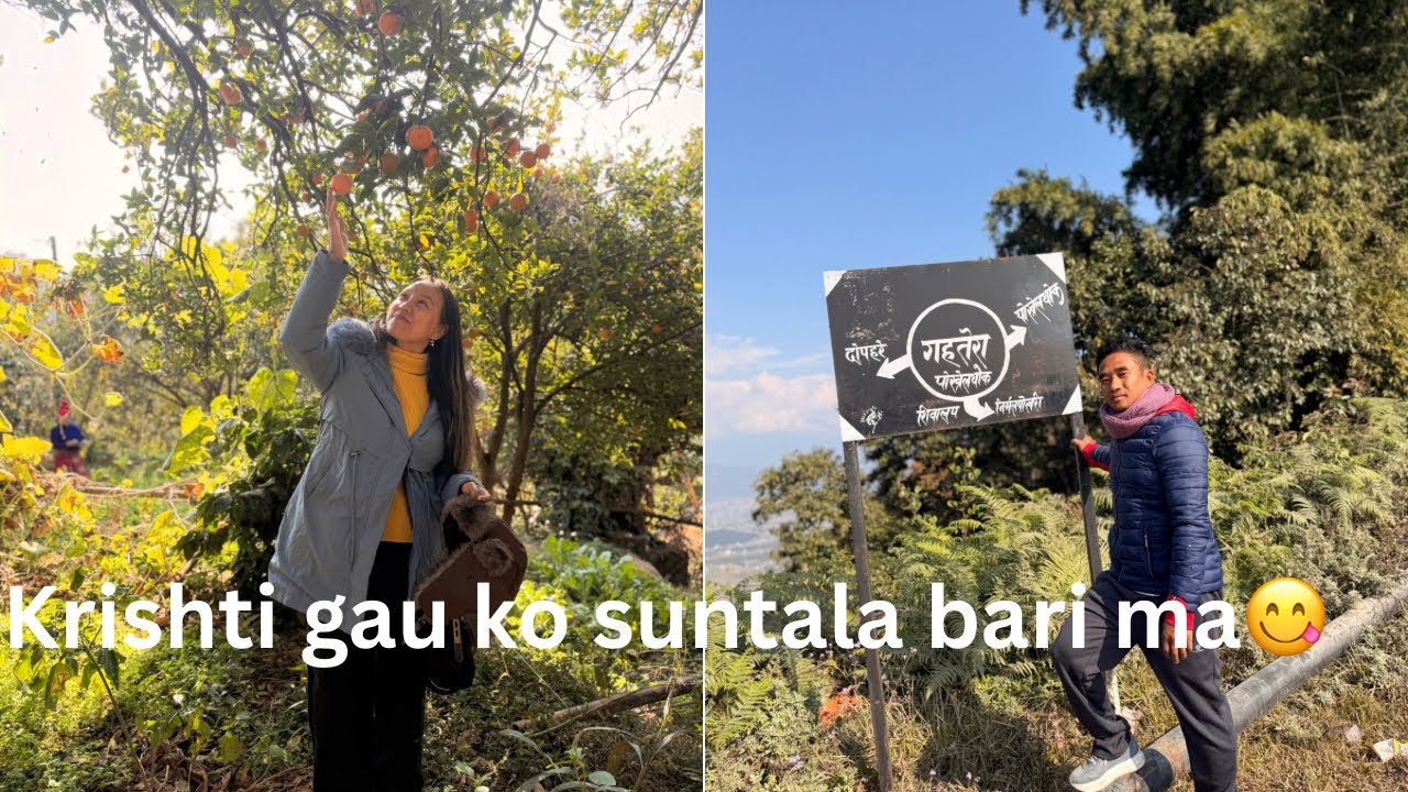 कृस्ति नाचनेचौर जादा को रमाइलो सुन्दर दृष्य .(Suntala barima)👩‍⚖️#vlog121