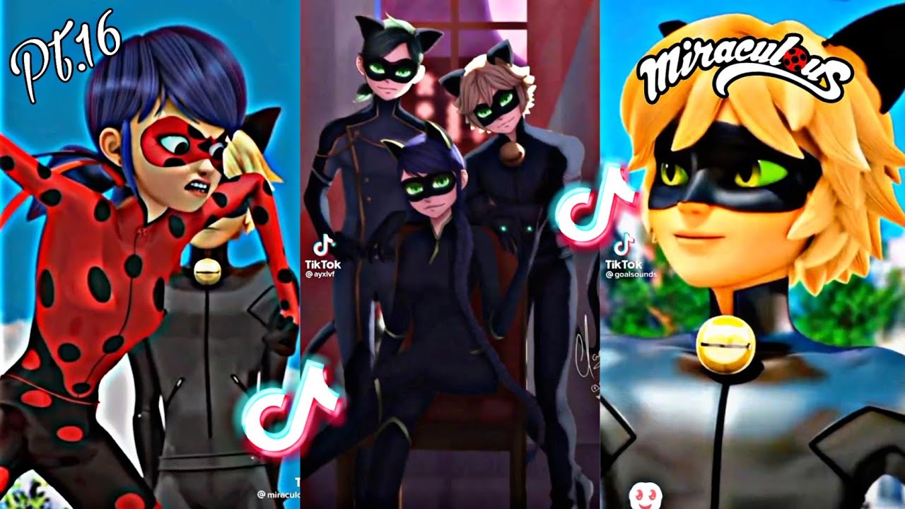 Miraculous Tiktoks that made Adrien never say 