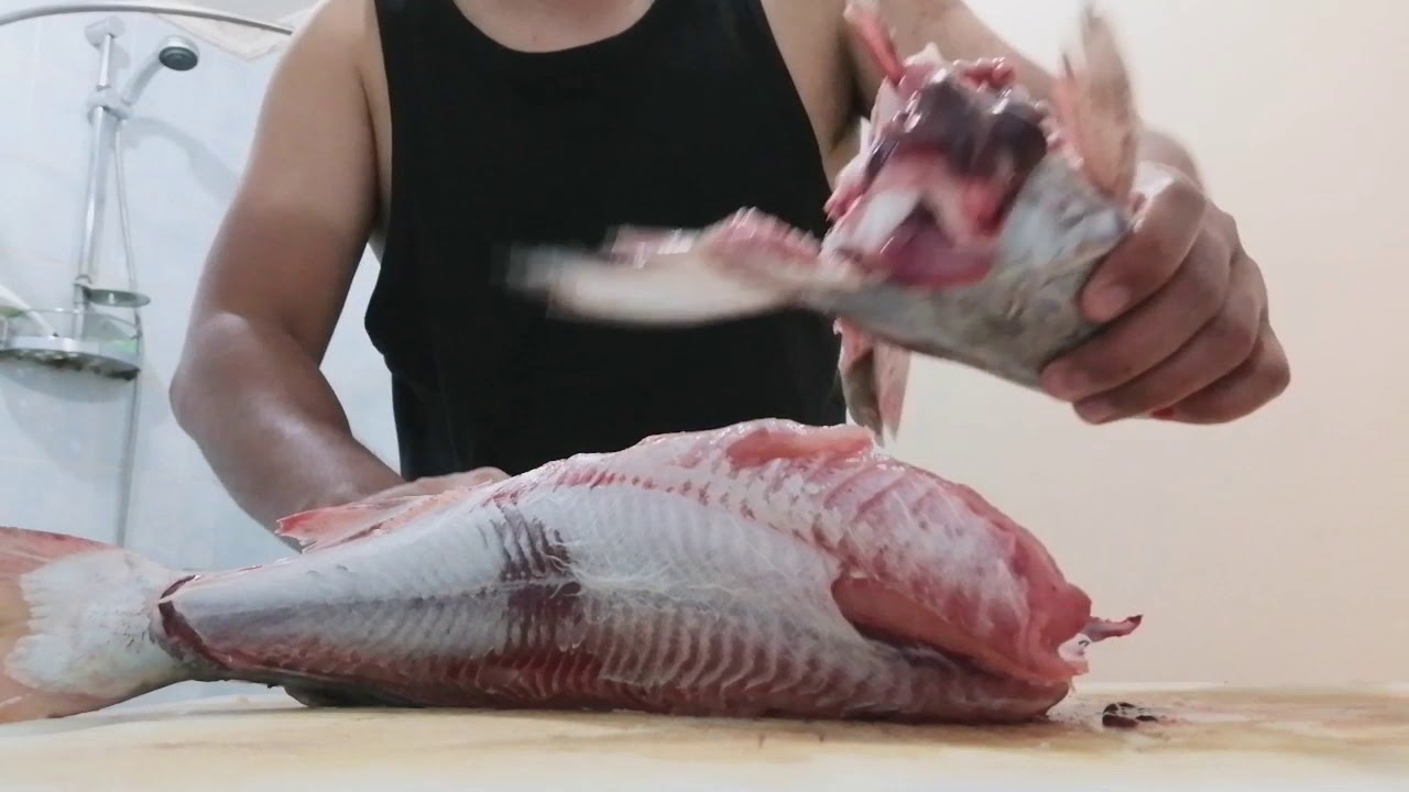 How to skin and fellet the catfish(kanduli)