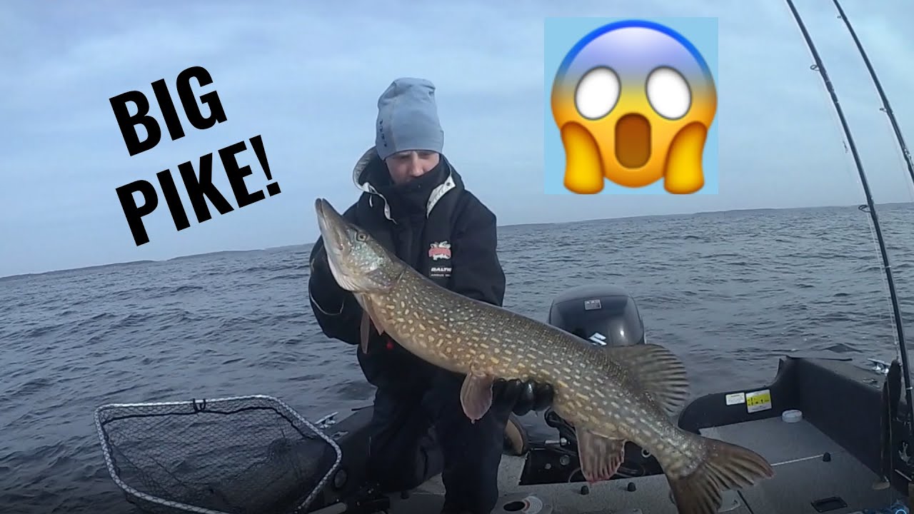BIG PIKE ON BIG LAKE! PRE SPAWN PIKE FISHING! Gäddfiske