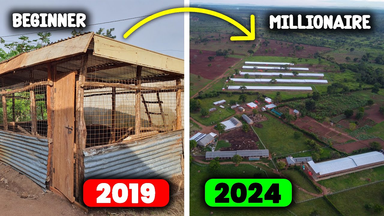 5 Years of Farming Experience in 25 Minutes | MUST WATCH for Farmers