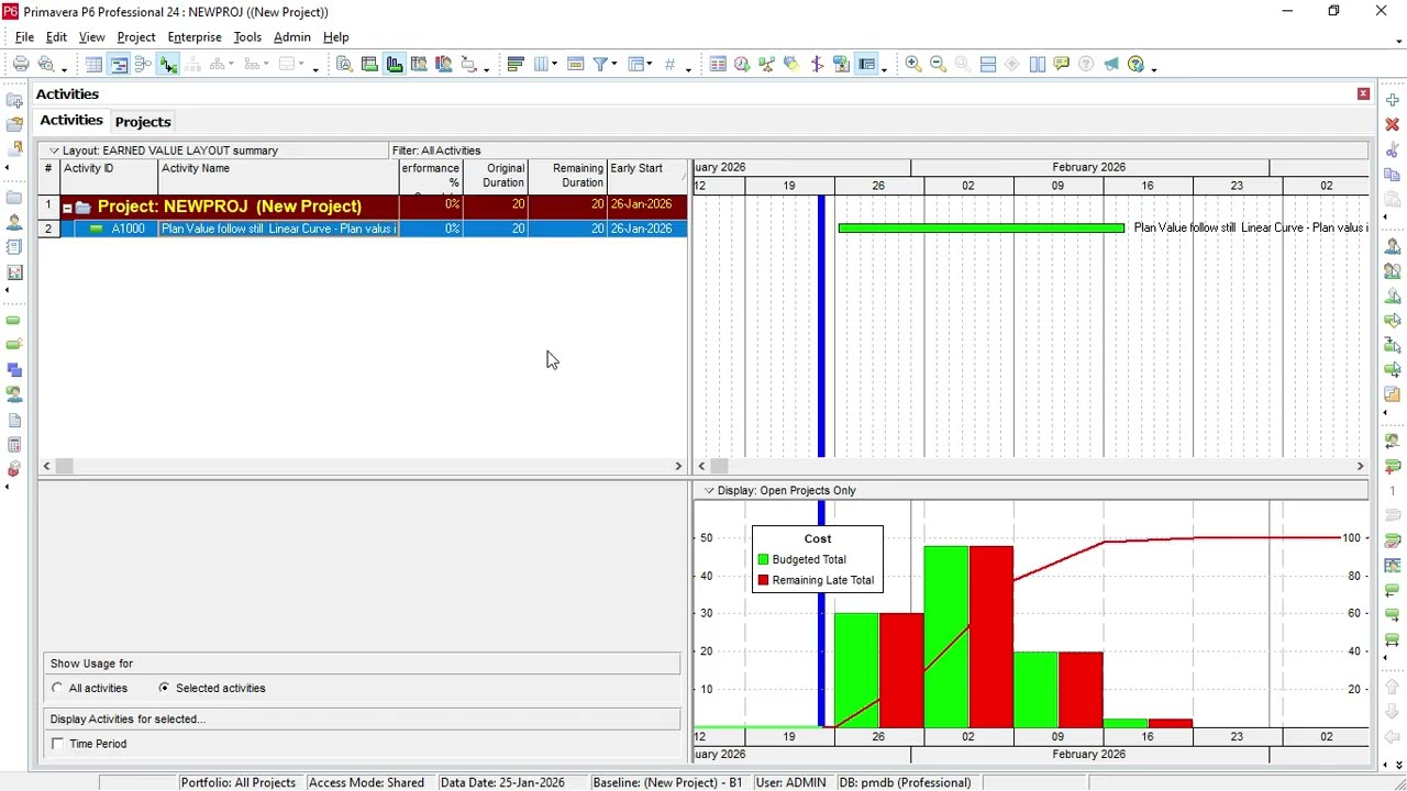 TIPS IN USING RESOURCE CURVE IN  PRIMAVERA P6