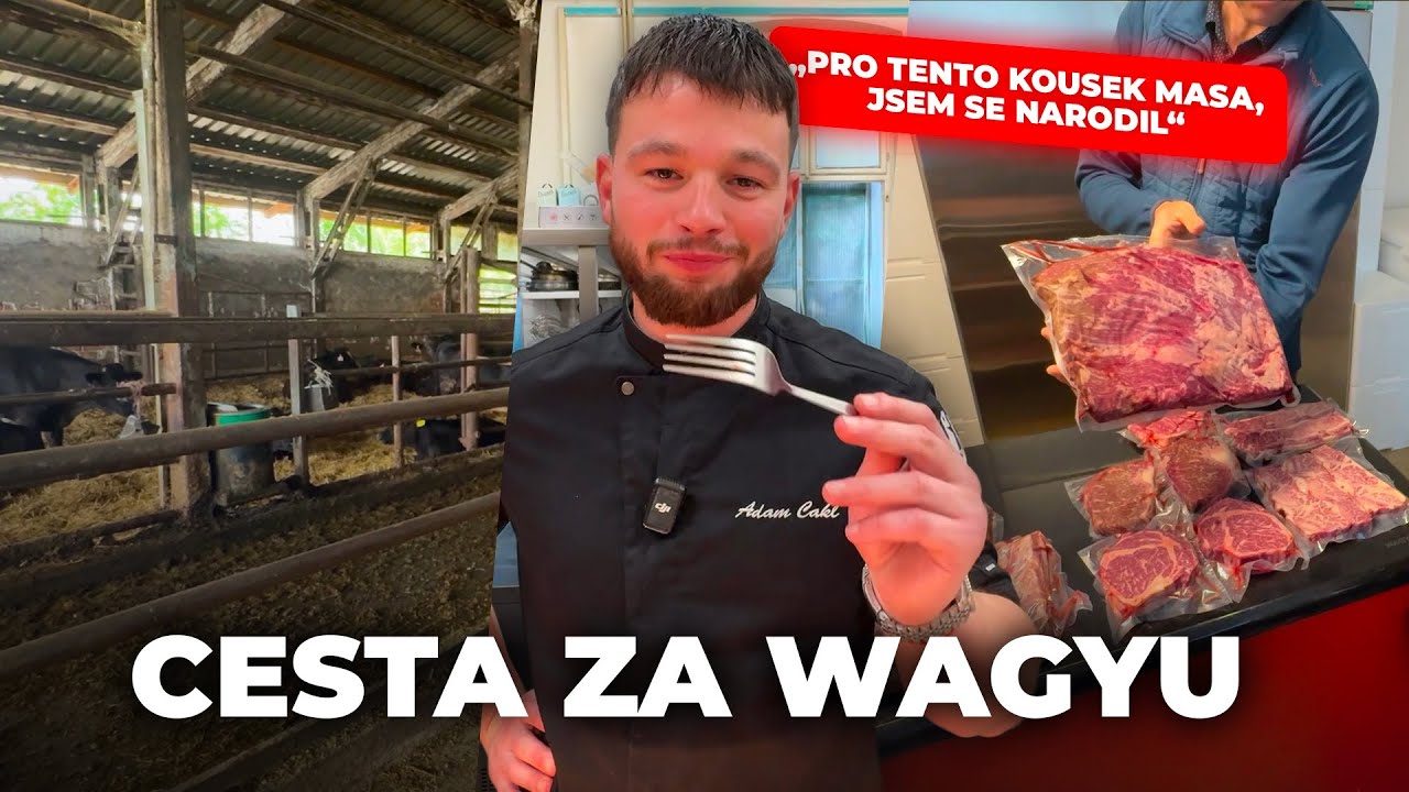 Jak chutná české Wagyu? Šéfkuchař Adam z Harendy návštívil Českou farmu.
