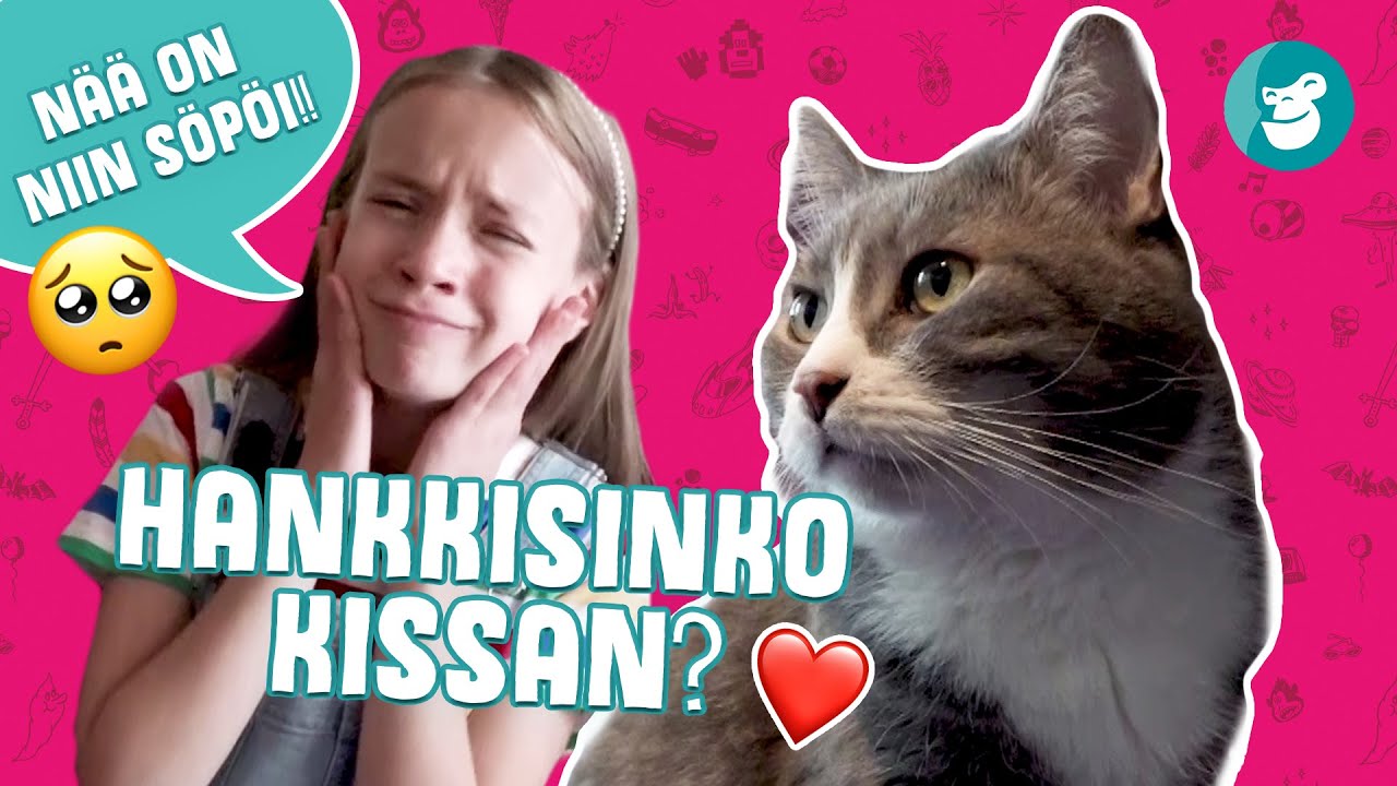 KISSAHAASTE