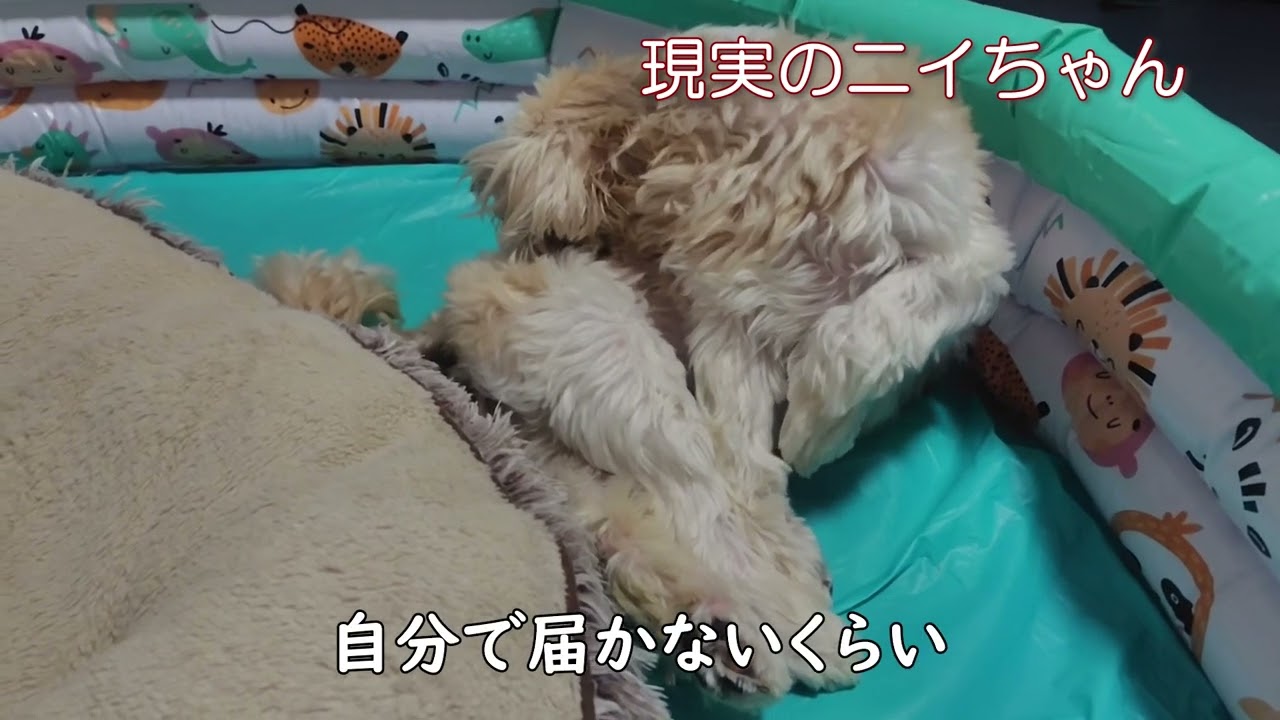 おちりがかゆくてお困りのニイちゃん