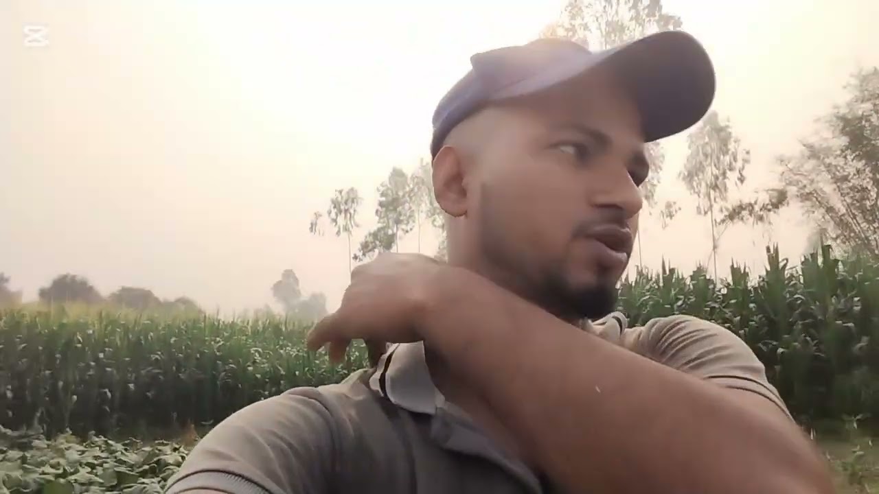 তামাক চাষ করা কি উচিত আমাদের জন্য..? 