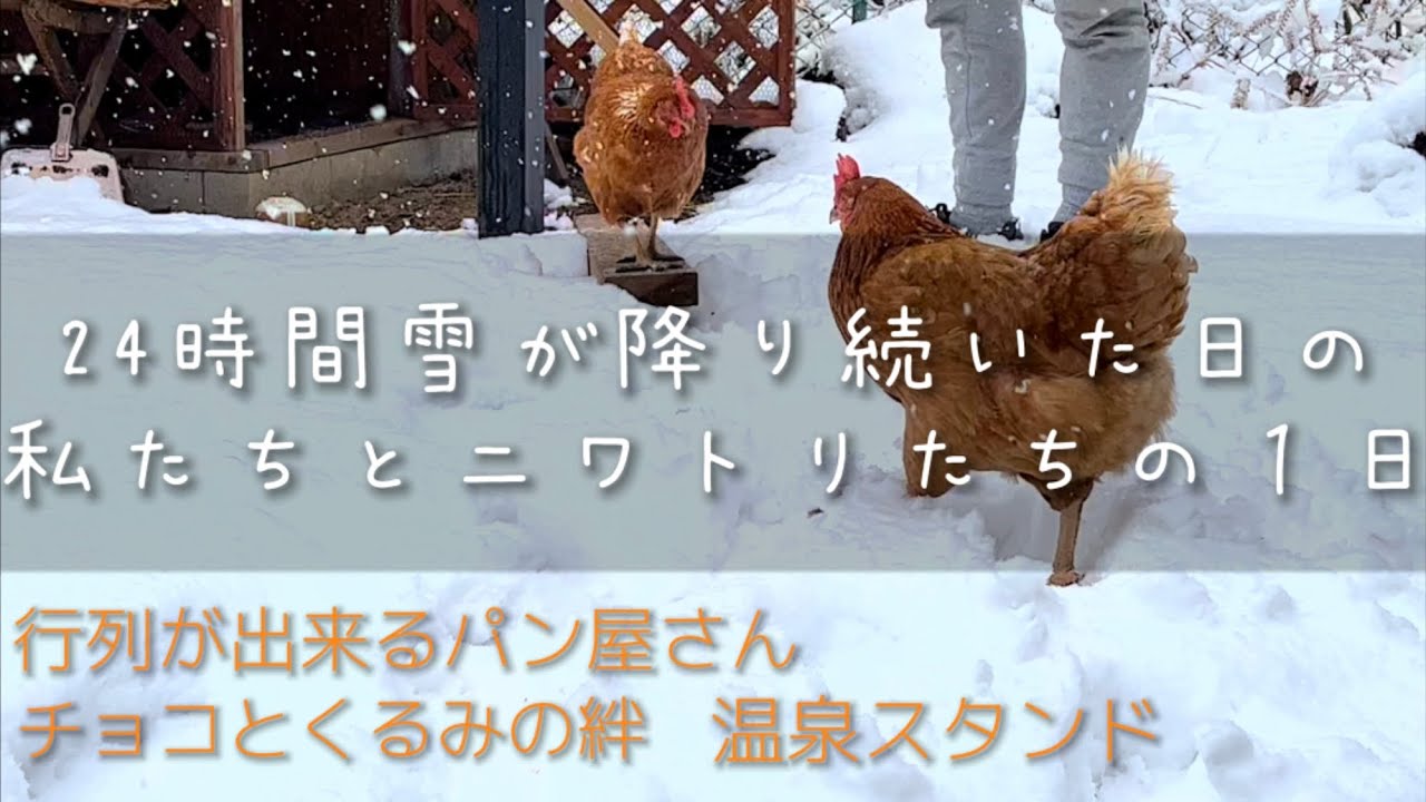 【八ヶ岳南麓】24時間雪が降り続いた日の１日【雪道ドライブ夫婦の会話】大人気パン屋さん/チョコとくるみの絆/温泉スタンド