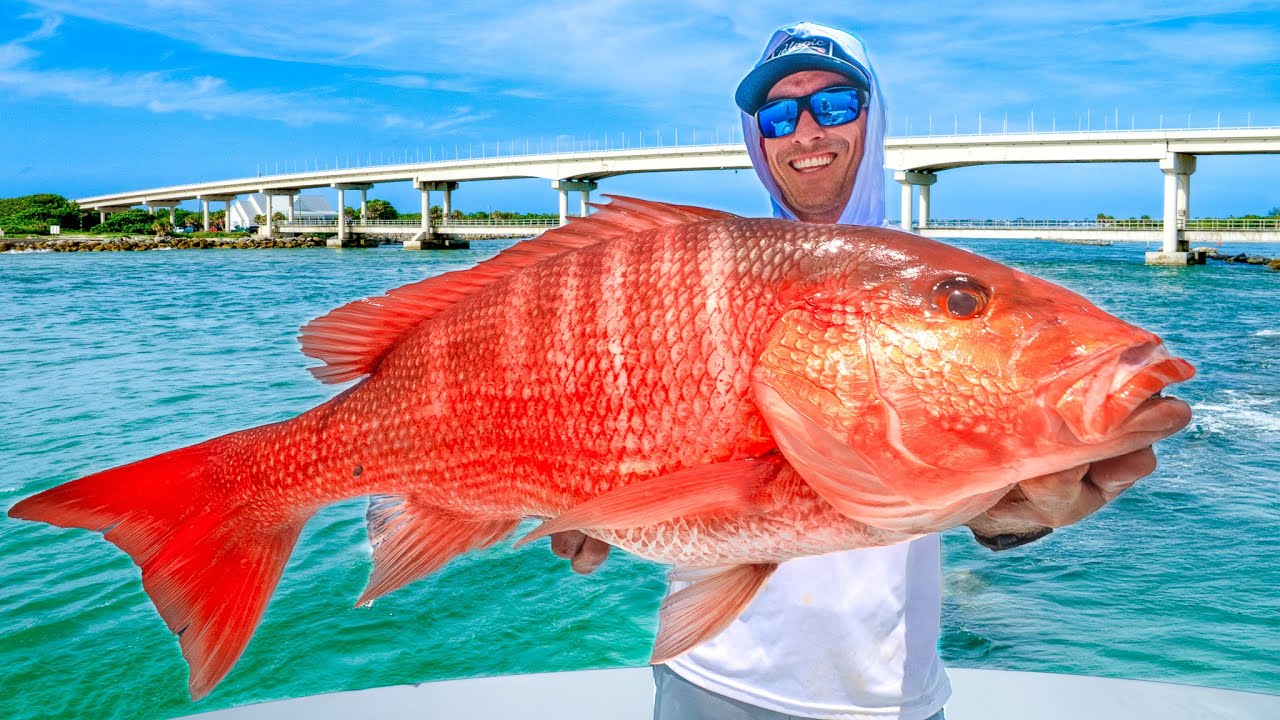 The Brutal Truth of Florida's Easiest Fishery (Catch Clean & Cook)