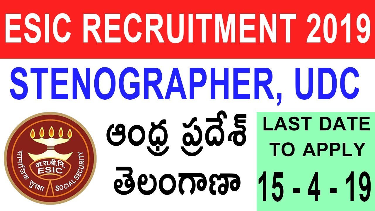ESIC UDC AND STENOGRAPHER RECRUITMENT 2019 | SYLLABUS | APPLY ONLINE IN TELUGU AP TELANGANA