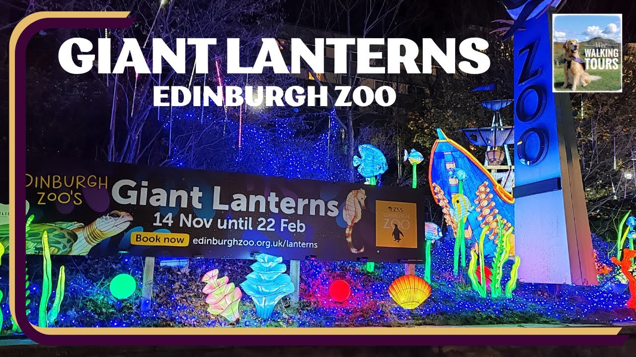 Giant Lanterns | Edinburgh Zoo