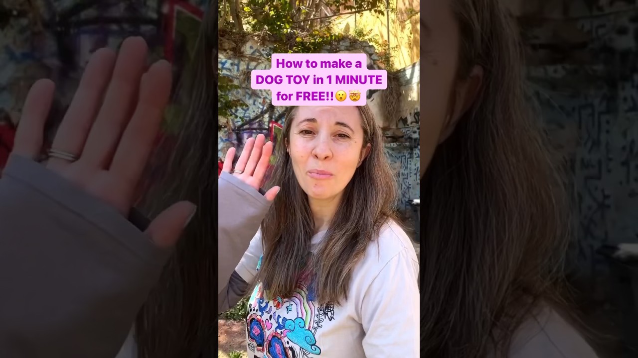 You won&rsquo;t believe how easy it is to make a dog toy for absolutely free! #dogtoys #diy #ecofriendly