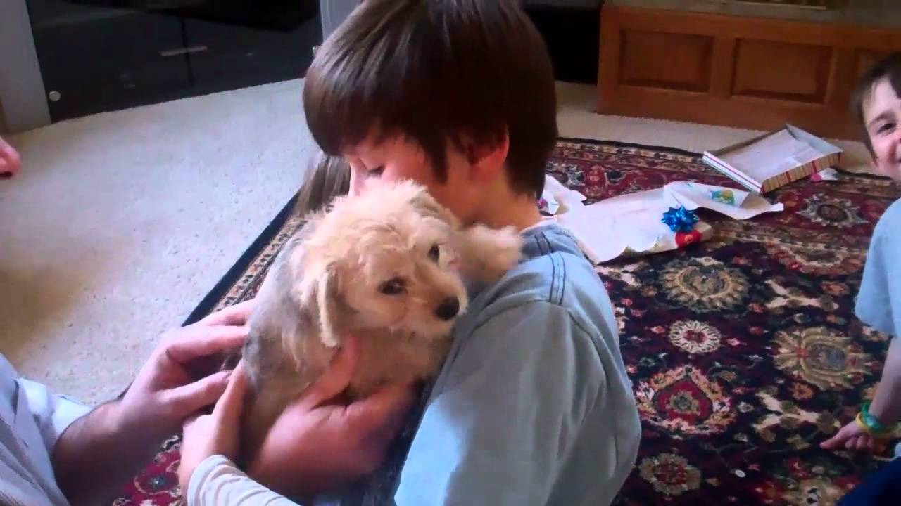 Kubal Kids Puppy Christmas Eve Surprise