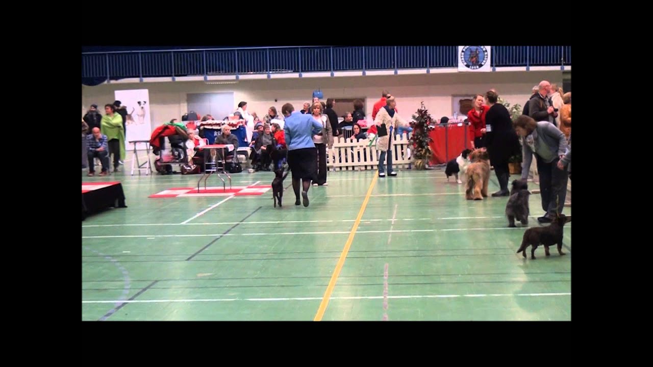 Debut valpeshow Skessa 4 BIG 28 12 14
