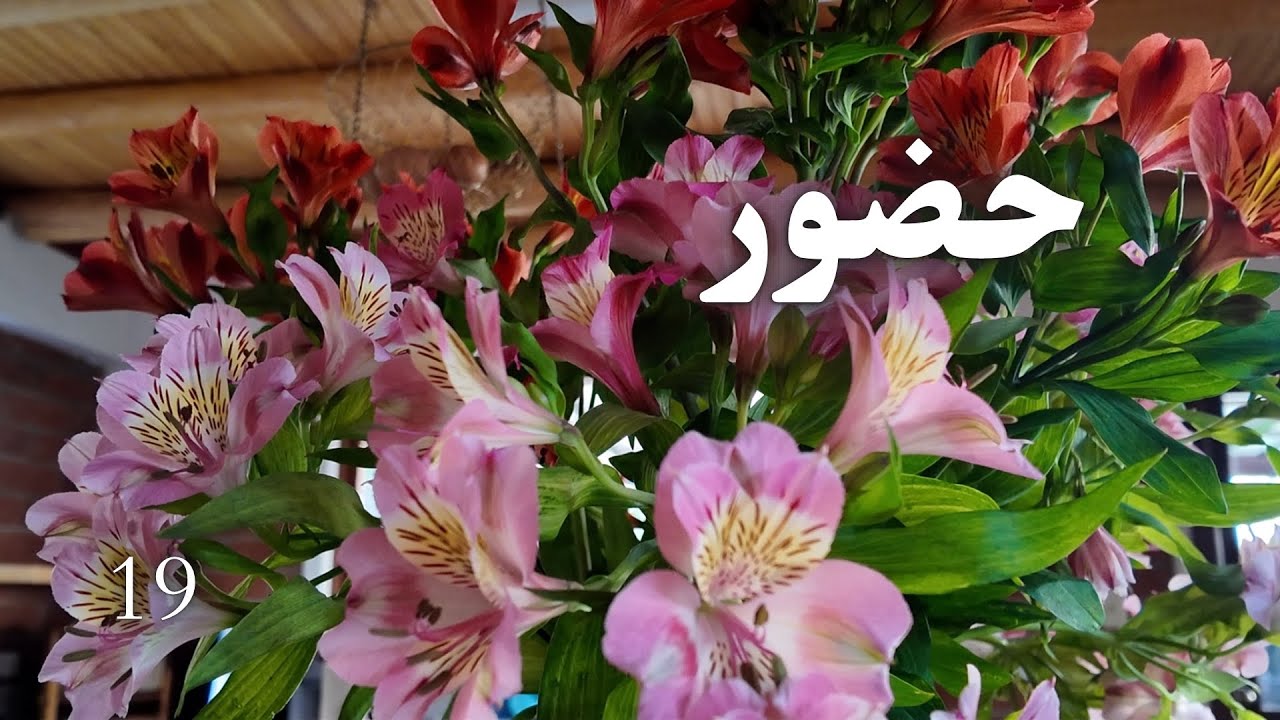 حضور | توقف چرخه‌های تکراری