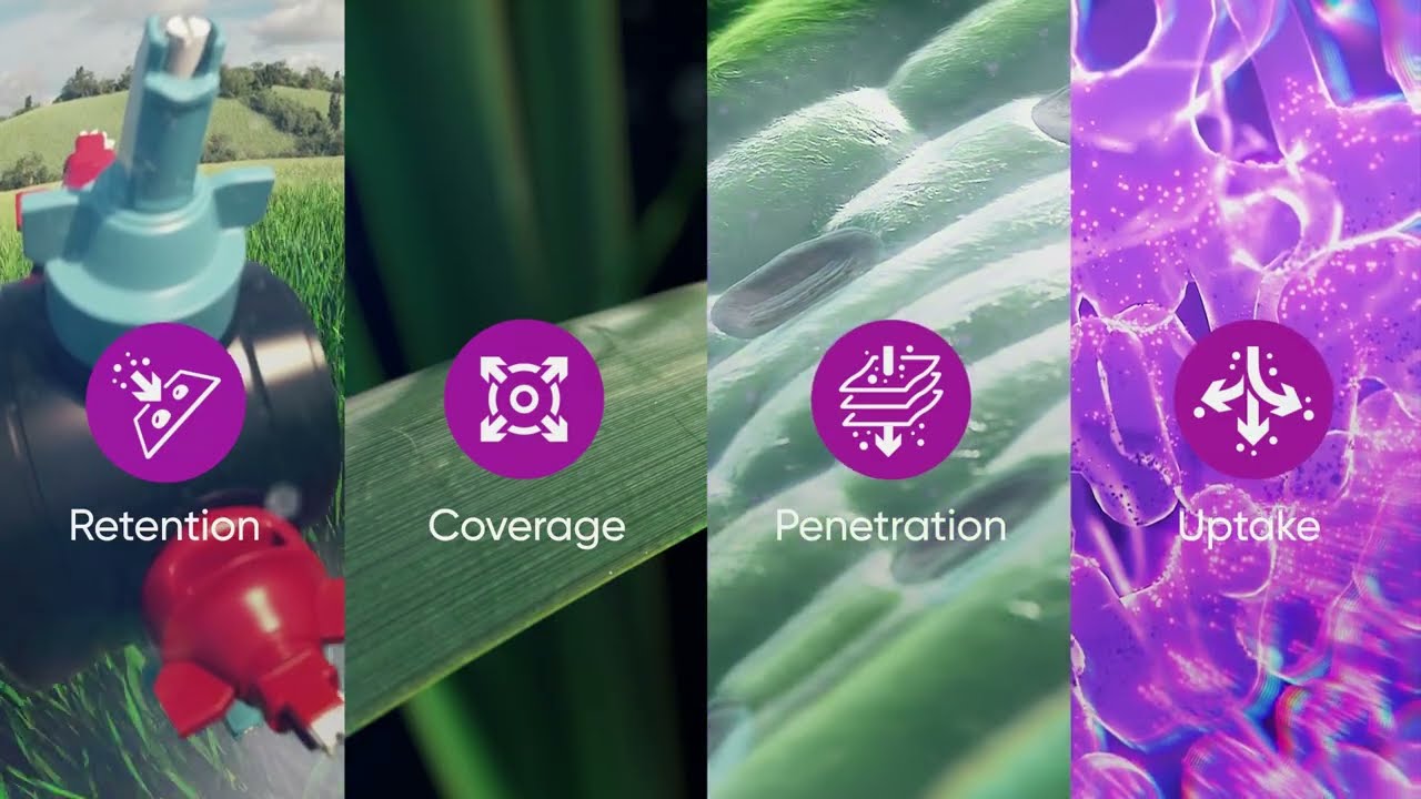 Inatreq&trade; active with i-Q4&trade; Technology