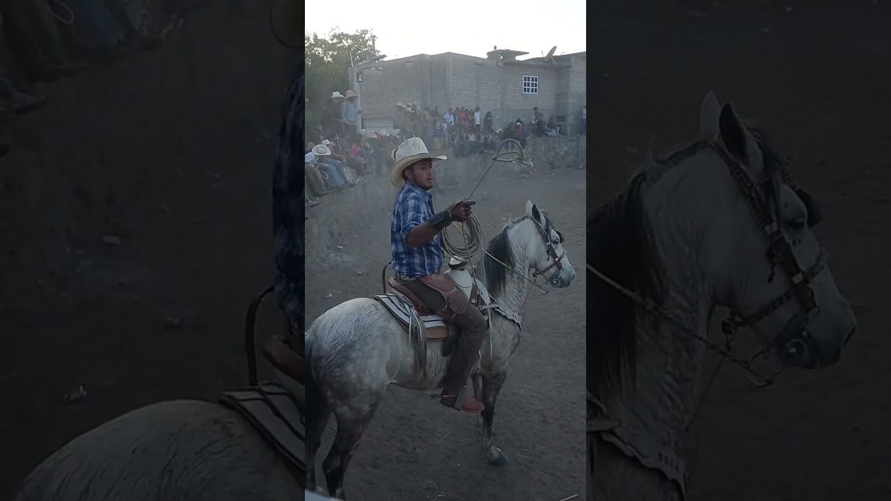 🐂 La Flecha.Rancho los Manriquez  📍 Santa Cruz mpio de Tarímbaro.