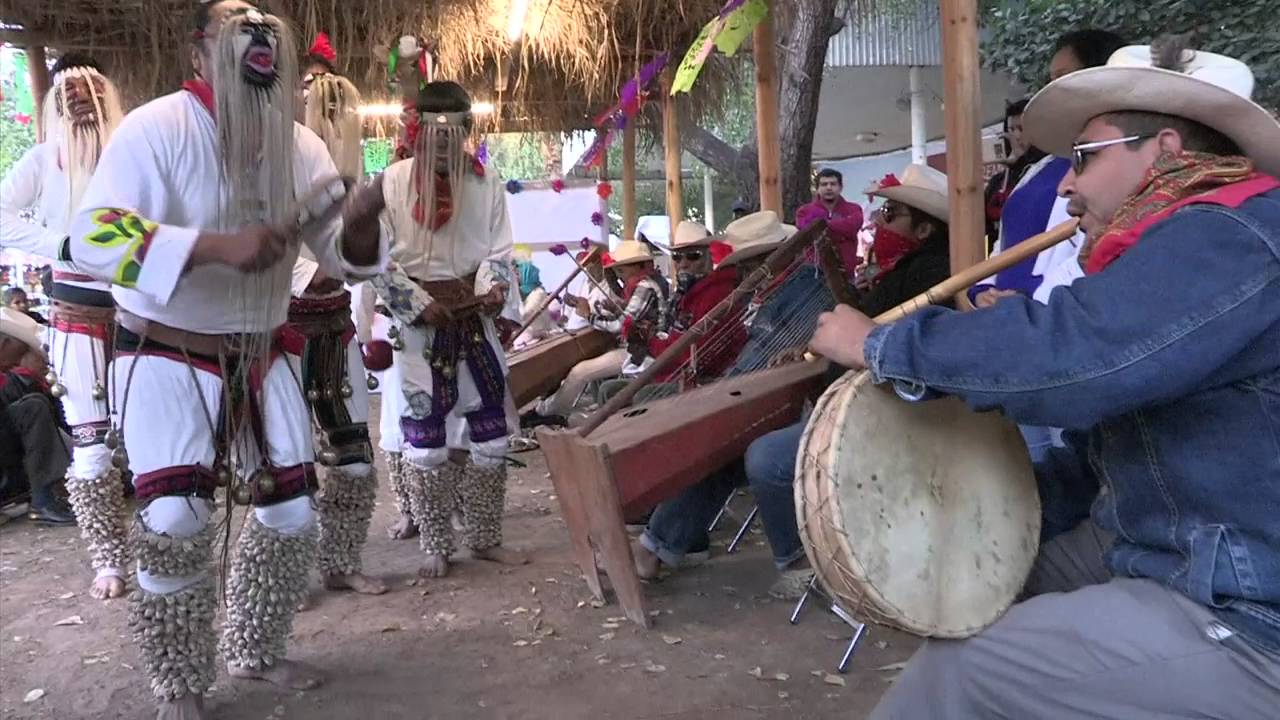 Saludos al Alba y Viernes Santo en Festival Yoreme Sinaloa 2015 Parte 1/2 (22-Enero-2016)