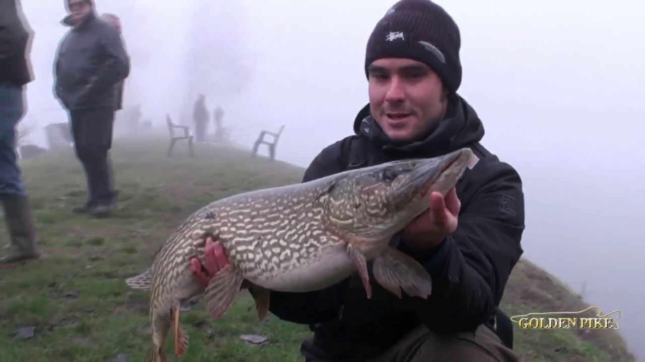 GOLDEN PIKE 2016 - FINALE - INSIDEFISHING