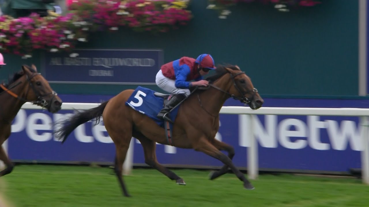 York Ebor Festival 2024 - Day 2 Highlights