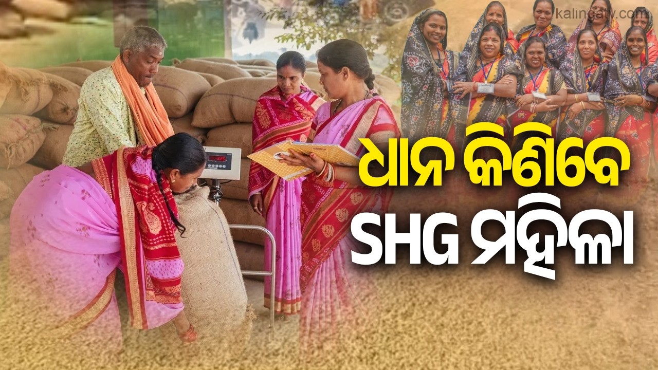 Orissa HC Directs Govt to Include Eligible SHGs in Paddy Procurement | Kalinga TV