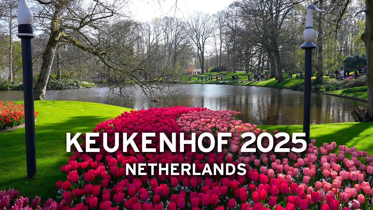 🇳🇱 Keukenhof 2025 – A Sunny Day Among Millions of Flowers [4K]