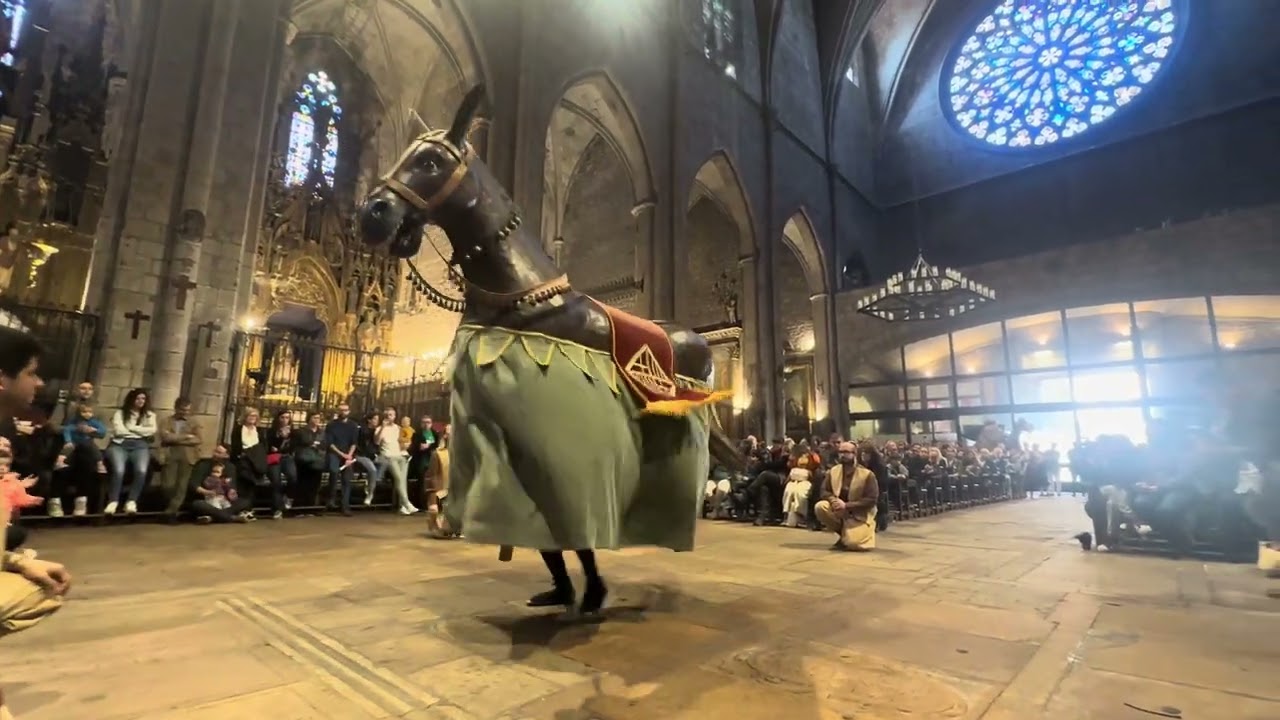 Ball de la Mulassa de Barcelona | Bestieses 2024 | Festes de Sant Josep Oriol a Barcelona