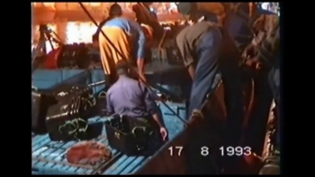 Peniche 1993  -  Descarga do peixe à noite na lota