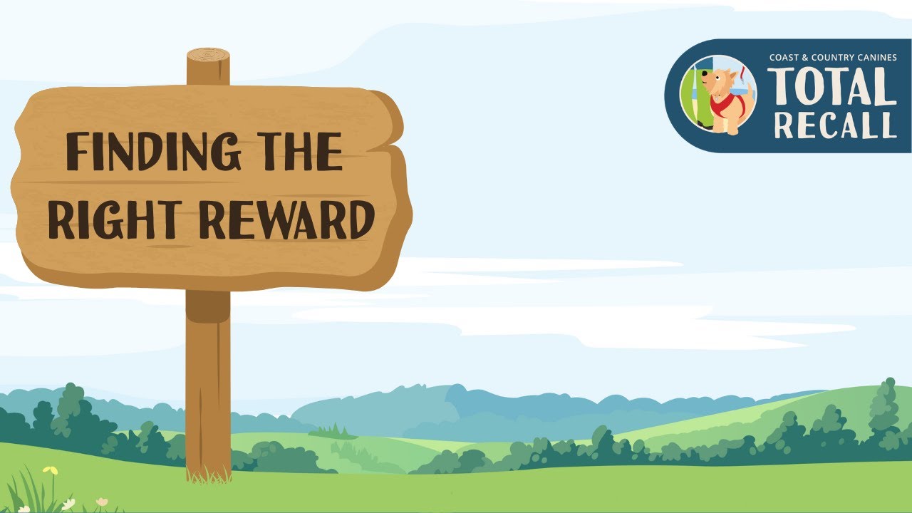 Total Recall: Finding the right reward