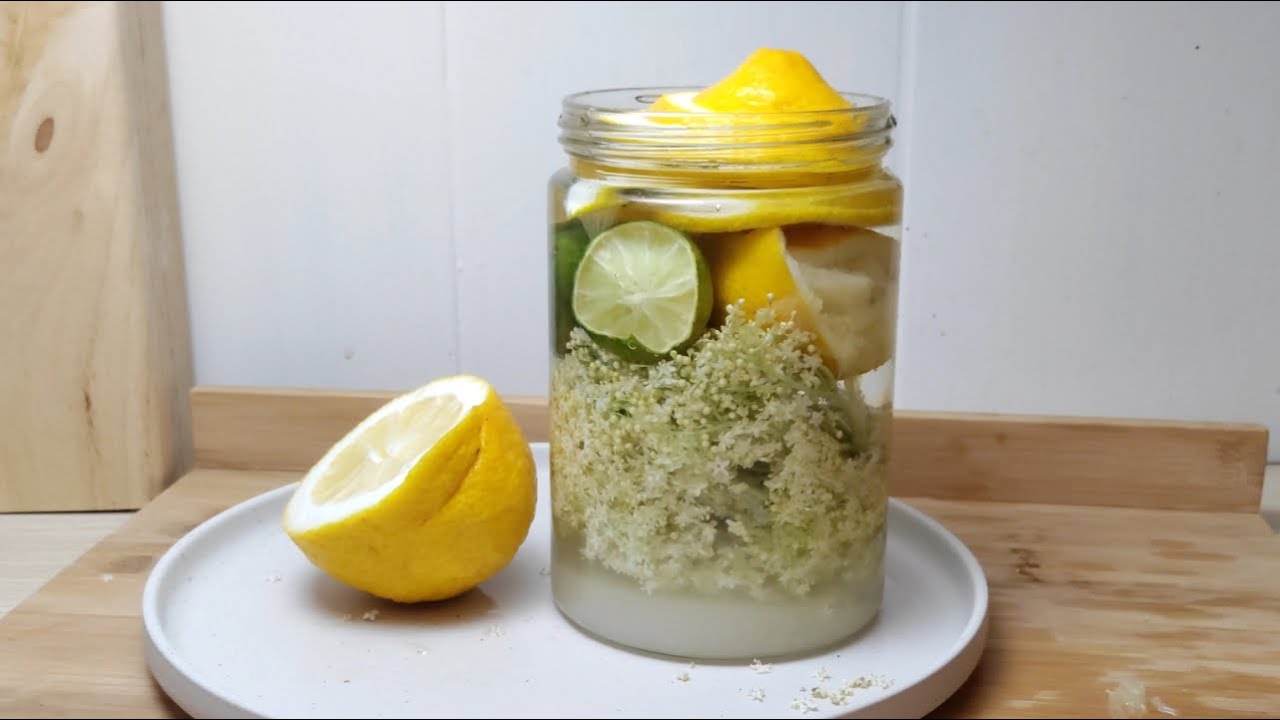 Elderflower: foraging, ID, lemonade