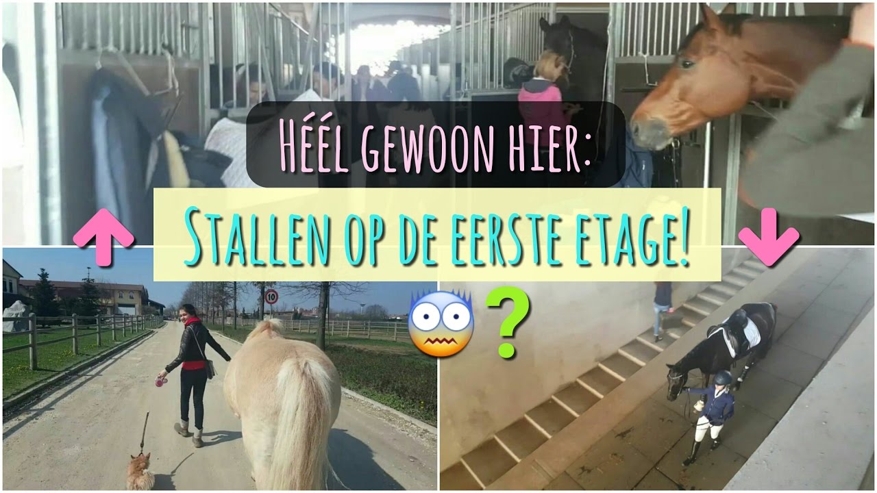 PAARDENSTALLEN OP ZOLDER..IS DAT WEL VEILIG? | VLOG #60 Jolanda Adelaar