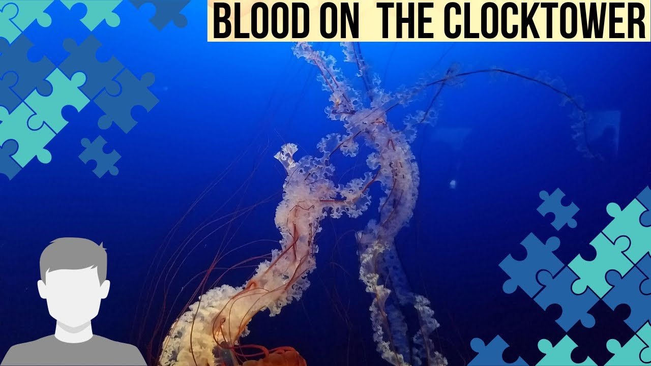 YT Exclusive! Niz is the poisoner. Blood on the Clocktower
