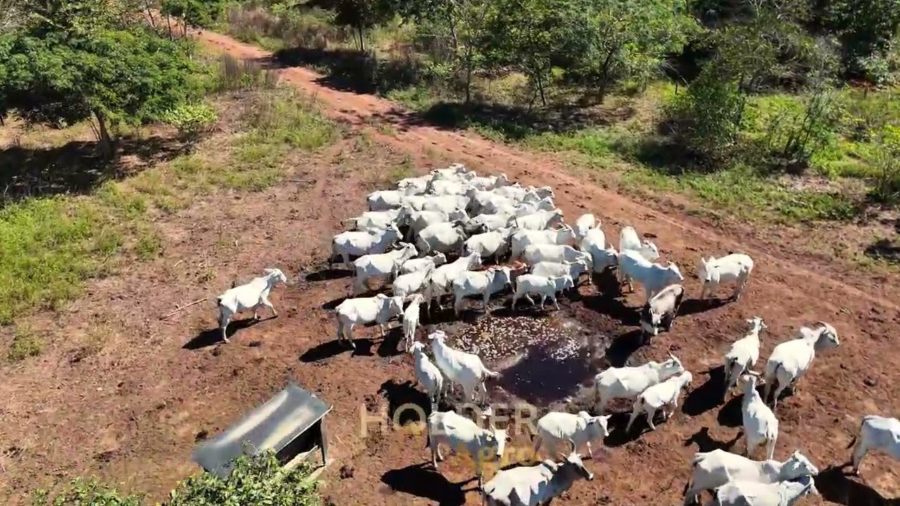 Faz Rio Cuiabá