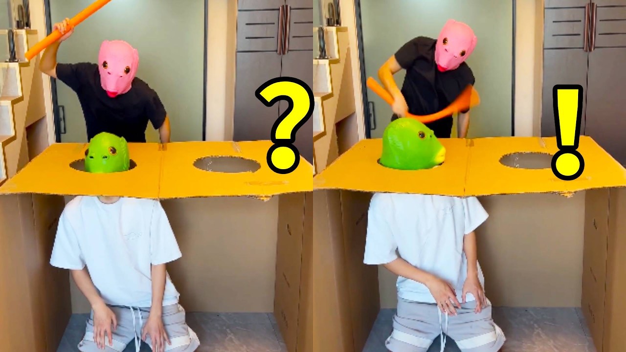 Real-life whack-a-mole game launched#funny #haaha #happy #memes #comedy #familygames