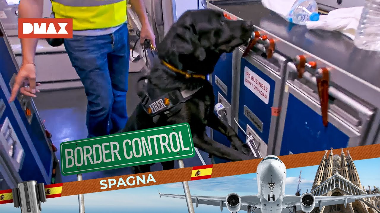 Perquisizione di un volo per sospetto traffico di stupefacenti | Border Control Spagna