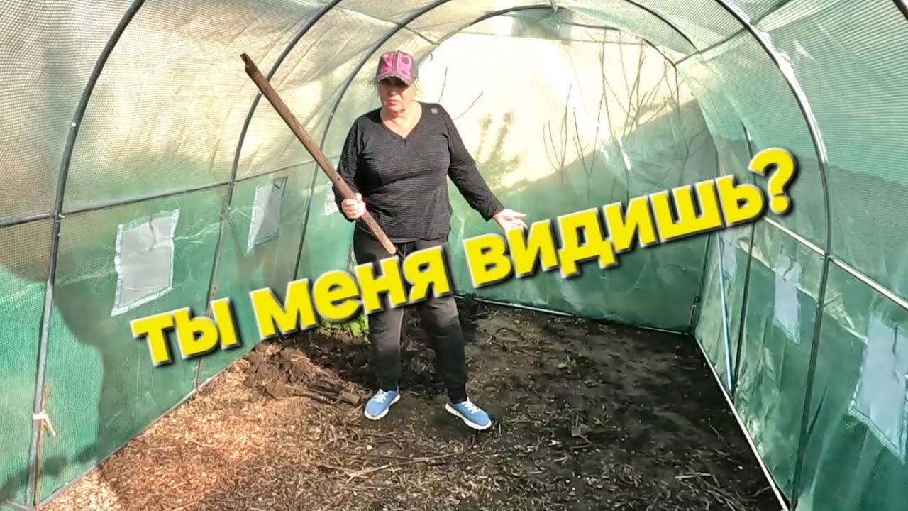 ОДЕССА &hearts;️ ТЕПЛИЦА ЧАСТЬ 3❗️БЕСПЛАТНЫЙ СПОРТЗАЛ ❗️ПОДАРОК ОТ ЗЕМЛЯКОВ❗️