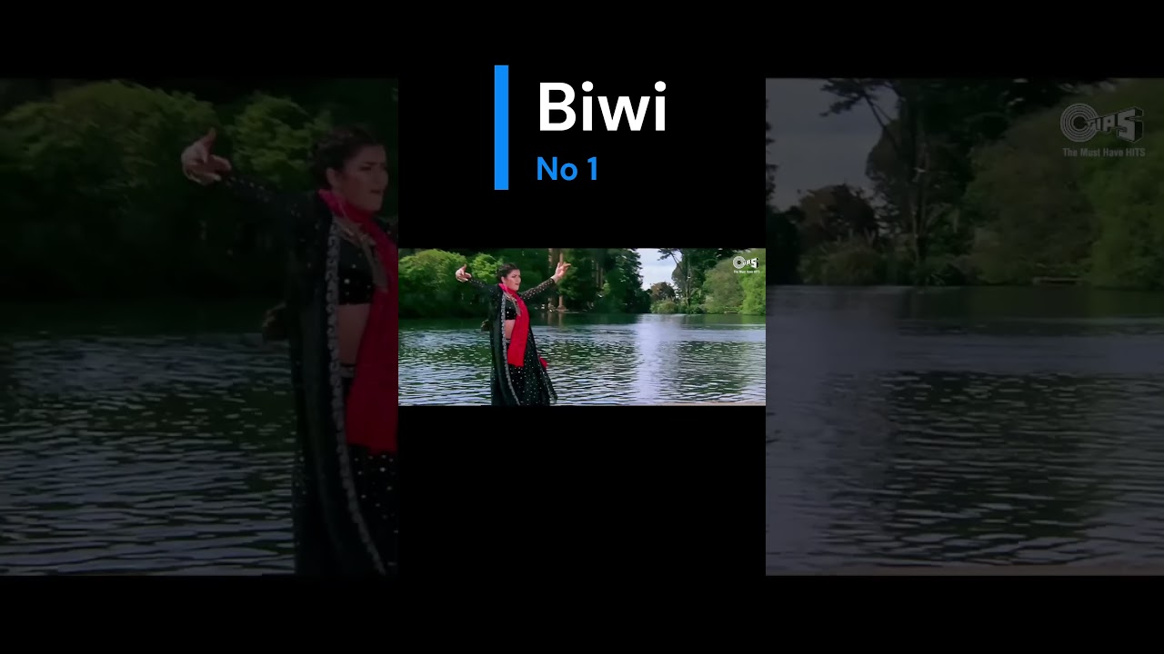 Biwi No.1 (1999) | Salman Khan, Karisma Kapoor, Anil Kapoor, Sushmita Sen | Anu Malik | 90s Hits