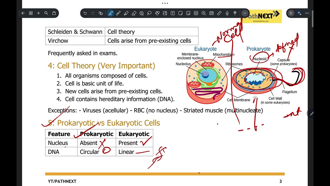 Class 2: Cell- Structural and Fundamental Unit of Life | Biology 