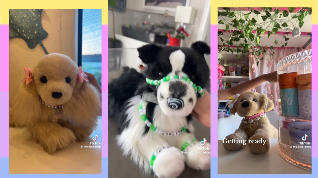 | TIKTOK/YT SHORTS ESSA COMPILATION #5 | NONE ARE MINE! 🦮💗