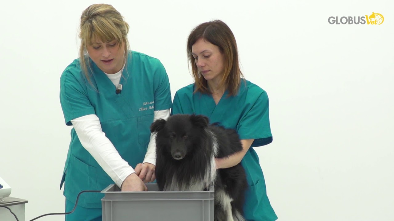 Ultrasoundtherapy immersion method