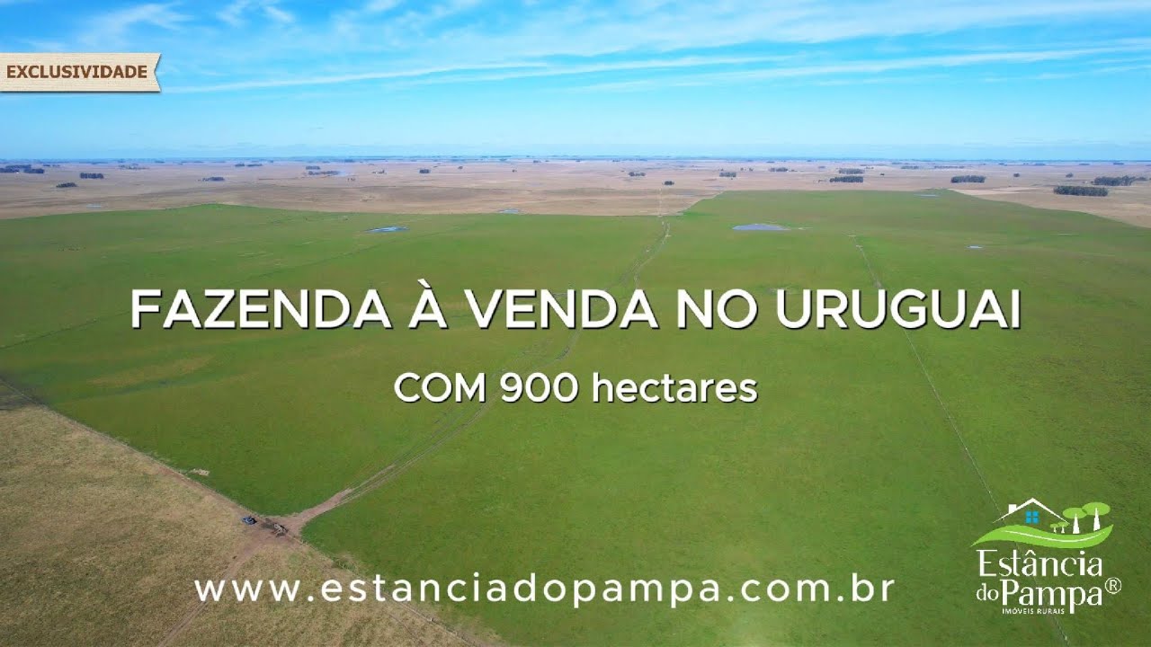 EXCLUSIVIDADE | FAZENDA À VENDA NO URUGUAI COM 900HA