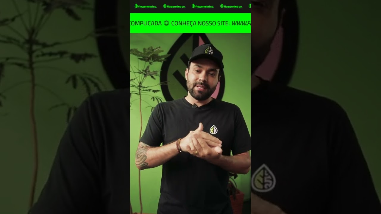 Utiliza&ccedil;&atilde;o do Kit Nutri&ccedil;&atilde;o Flowermind em supersolos #shorts