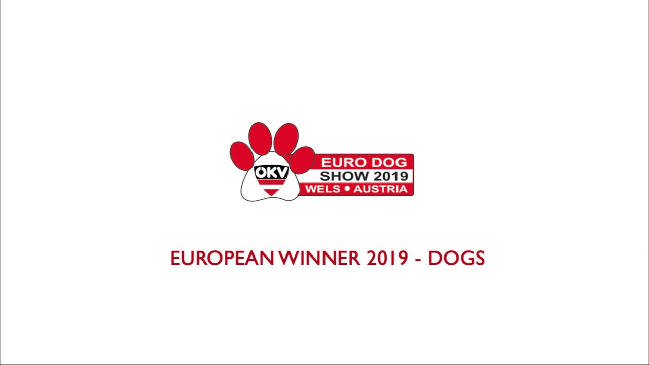 Euro Dog show 2019 - EU Winner CACIB Dogs